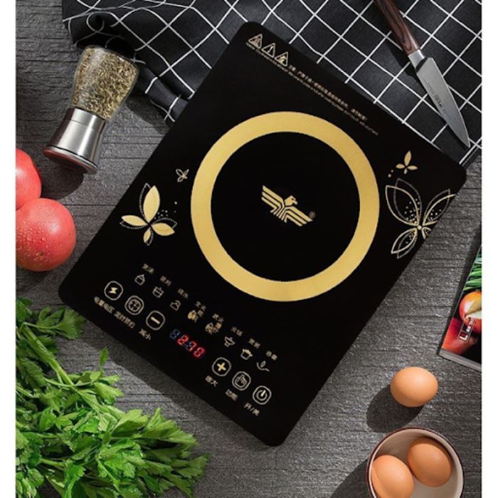 Bếp từ Eagle GB4706