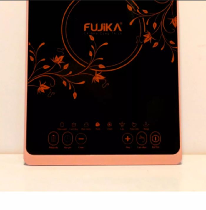 Bếp từ FUJIKA FJ-BT1920