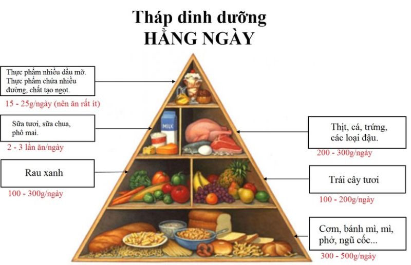 xây dựng thực đơn bữa ăn cho gia đình theo nguyên tắc